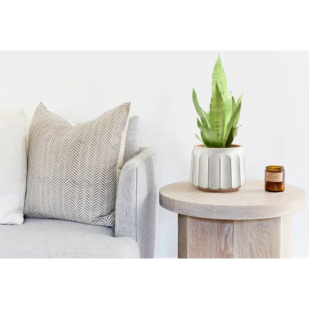 Round White and Brown Ceramic Striped with Drainage Hole 14 Inches