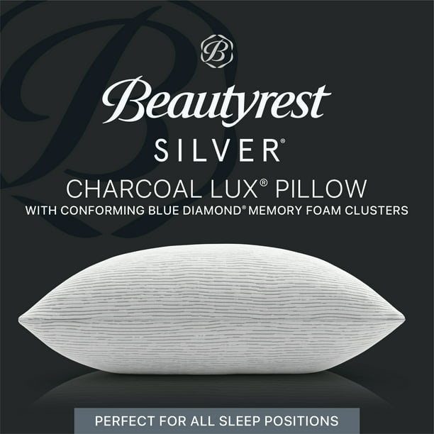 Beautyrest Pillow Standard Queen Size in Gray