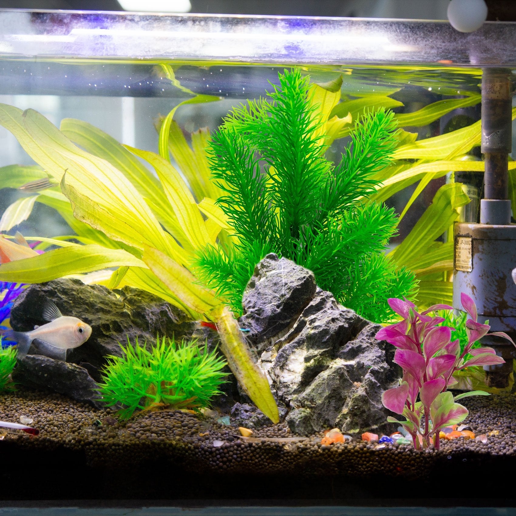 Artificial Fish Tank Accessories with Aquarium Plants 8 Pieces