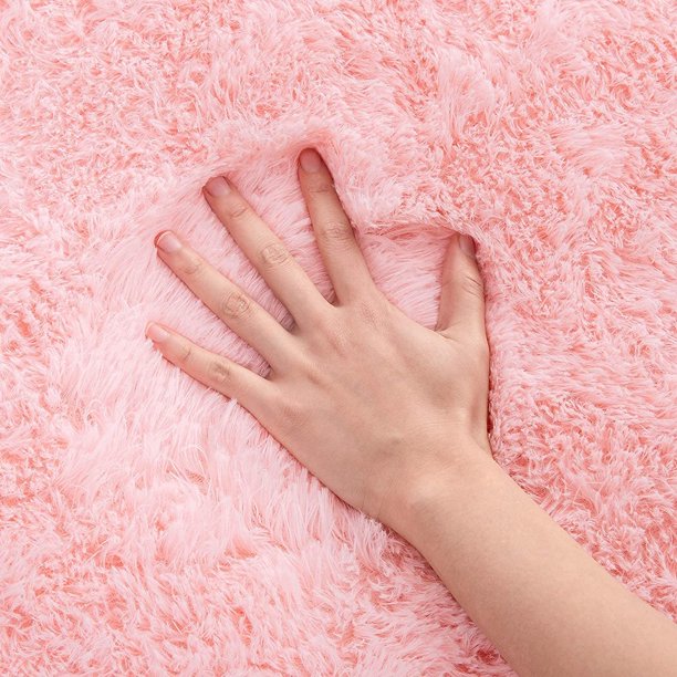 Area Rug Modern Shaggy Rugs for Bedroom 2x3 Feet Pink