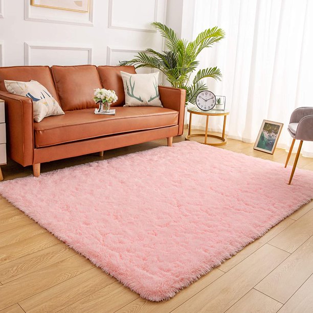 Area Rug Modern Shaggy Rugs for Bedroom 2x3 Feet Pink