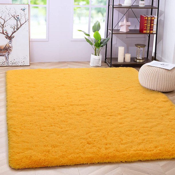 Area Rug Modern Shaggy Rugs for Bedroom 2x3 Feet Orange
