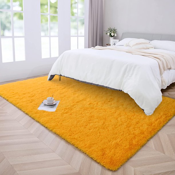 Area Rug Modern Shaggy Rugs for Bedroom 2x3 Feet Orange