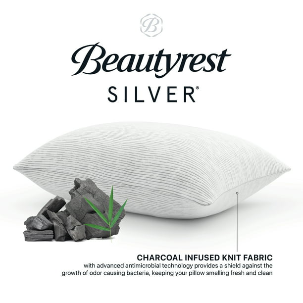 Beautyrest Pillow Standard Queen Size in Gray