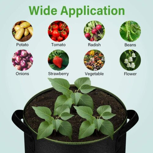 Grow Bags Thickened Nonwoven Fabric Pots Container with Strap 5 Gallon 5 Packs