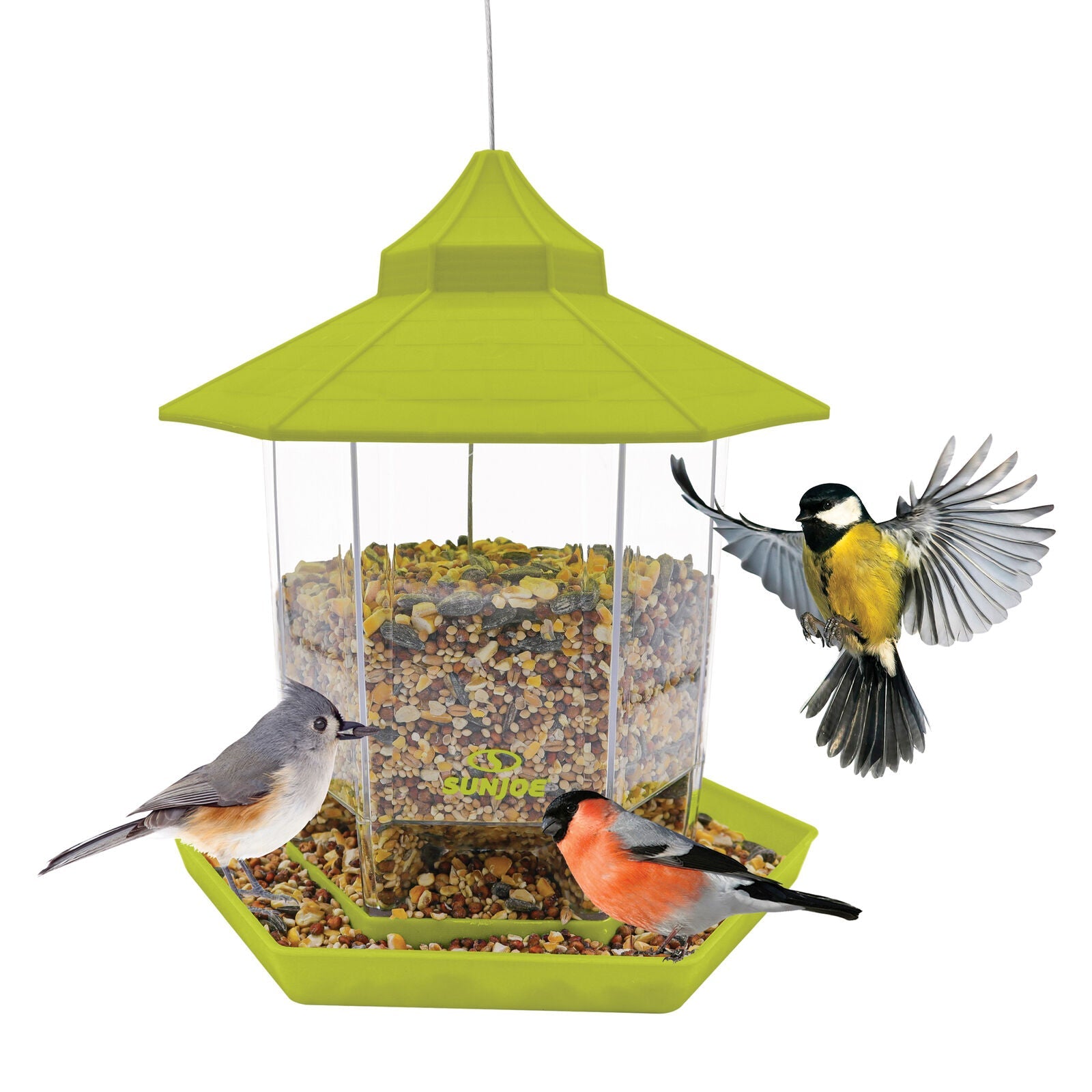 Bird Hanging Feeder In Green