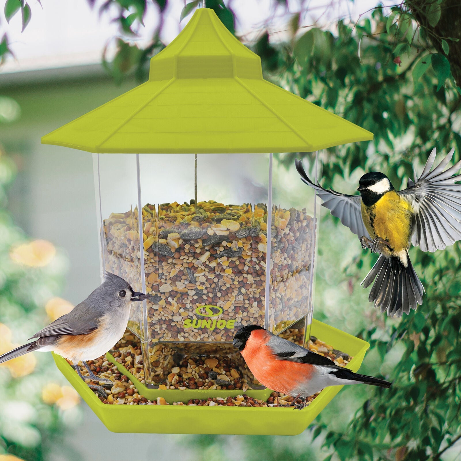 Bird Hanging Feeder In Green