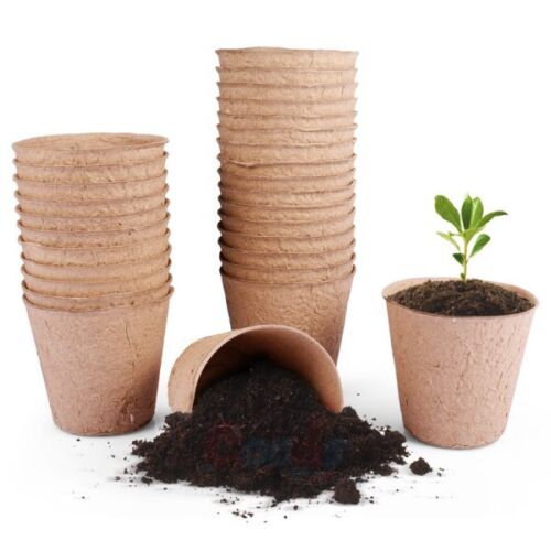 Plant Flower Pot Nursery Seedlings Container