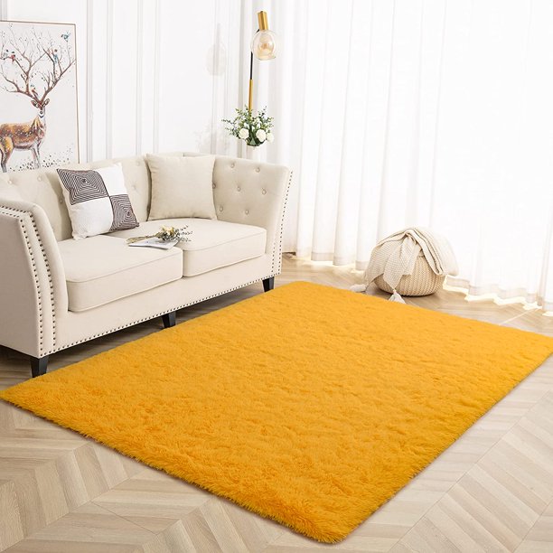 Area Rug Modern Shaggy Rugs for Bedroom 2x3 Feet Orange
