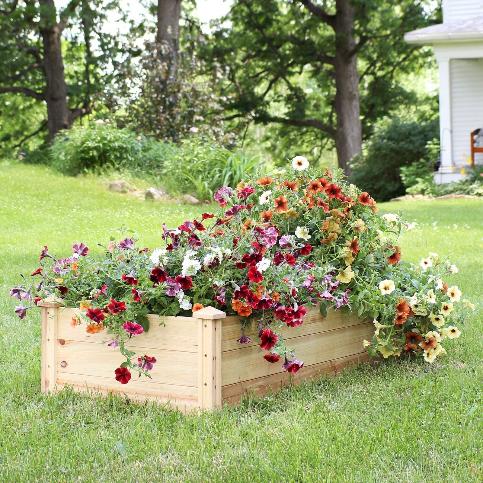Garden Bed in 24 X 48.25 Inches Brown