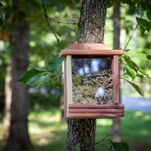 Squirrel and Wild Bird Hopper Feeder