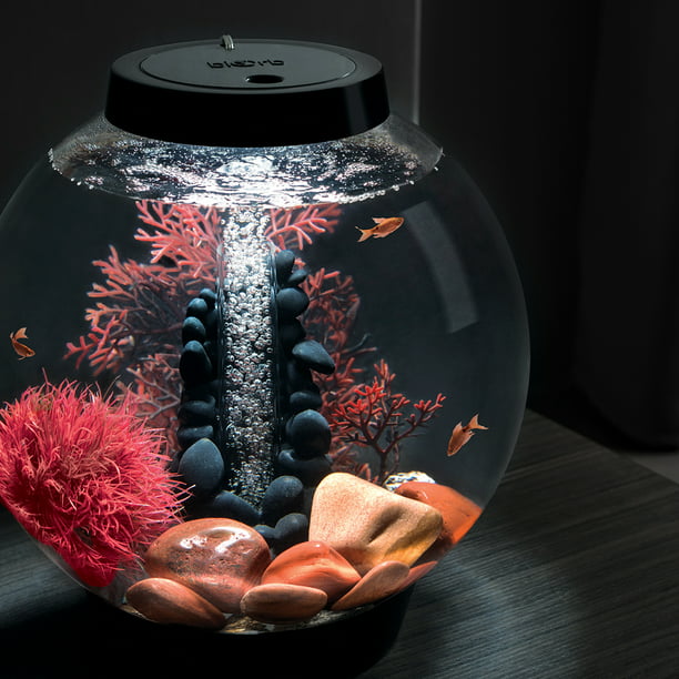 CLASSIC Aquarium with All Decor and Accessories 4 Gallon