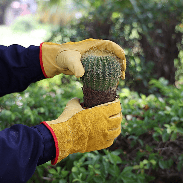 Garden Gloves in Gold Small
