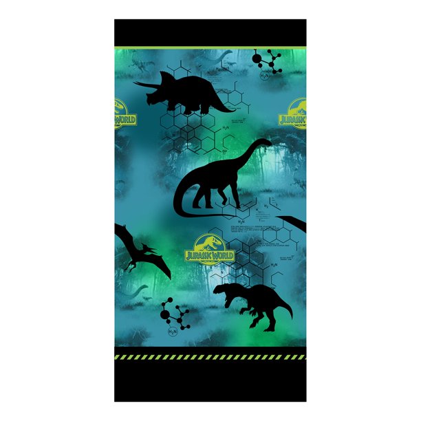 Boys Bedroom Curtain Set in Multicolor