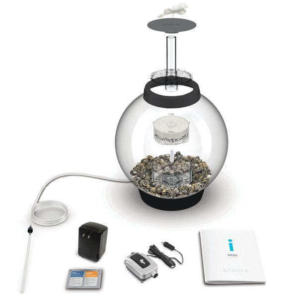 CLASSIC Aquarium with All Decor and Accessories 4 Gallon