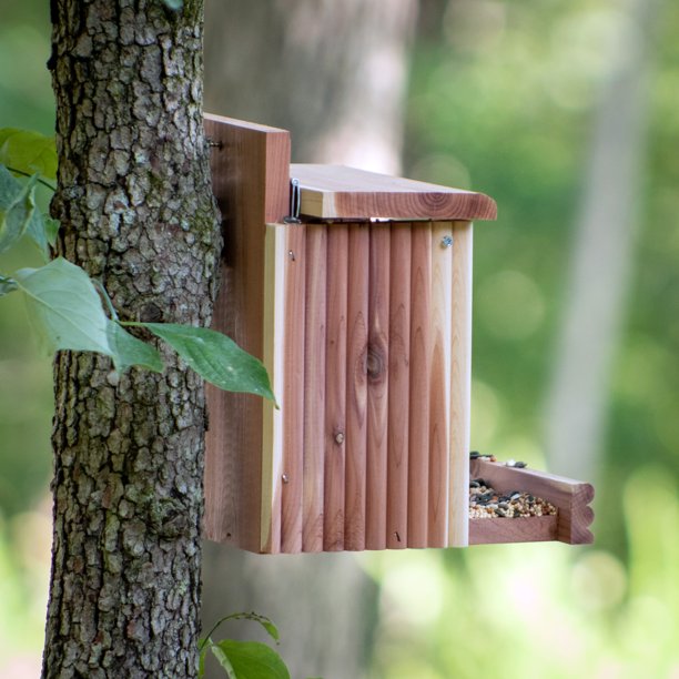 Squirrel and Wild Bird Hopper Feeder