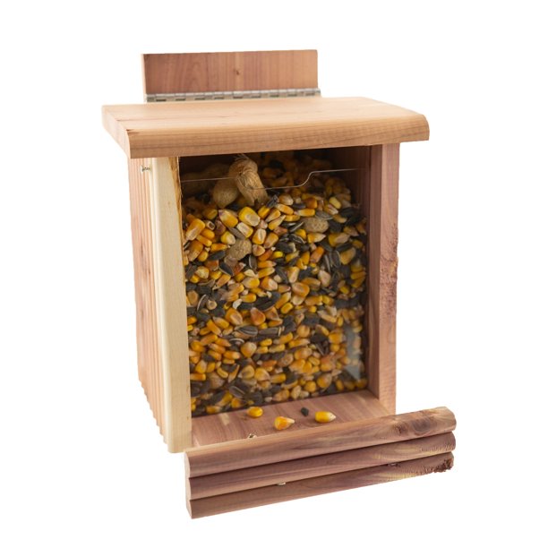 Squirrel and Wild Bird Hopper Feeder