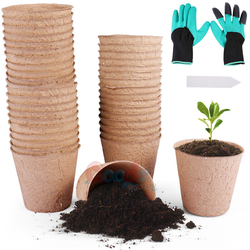 Plant Flower Pot Nursery Seedlings Container